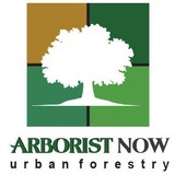 Arborist Now - Tree Services in San Francisco