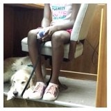 Paws'Itive Teams - Pet Services in San Diego