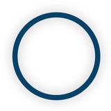 Oncolytics Biotech (U S ) Inc - Other in Half Moon Bay