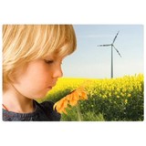 Greenforce Windowpro - Garden Services/Maintenance in San Francisco