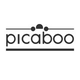 Picaboo Corporation - Software Development in Redwood City
