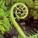 Mindfulness Therapy Associates - Rehabilitation Center in San Francisco
