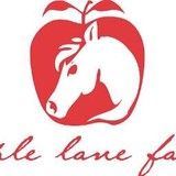 Apple Lane Farm - Other in Solvang