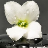 Relax Zone Thai Massage - Massage in Vista