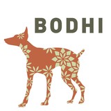 Bodhi Animal Hospital - Animal Hospitals in San Diego