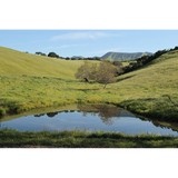 Return To Joy - Massage Therapy in San Luis Obispo