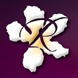 Ripon Chamber of Commerce - Other in Ripon
