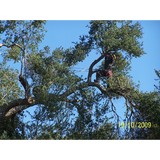 Vaca Horticulture Ent Inc - Landscape Architects in Vista