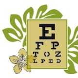 Mira Mesa Eyecare - Optometrists in San Diego