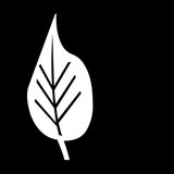 Impact Publishers Inc - Other in Atascadero