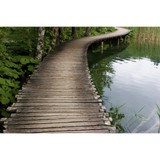 Bryan Newman MFT - Psychotherapist in San Francisco