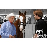 Join Up International Inc - Other in Solvang