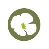 Verde Sf - Florists in San Francisco