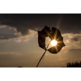 Brittany Chidley - Psychologist & Counsellor in San Diego