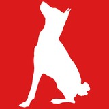 Red Dog Graphics - Graphic Design in San Francisco