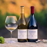 Sanford Winery Company - Wineries in Buellton