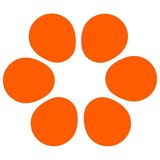Mission Graduates - Private Tutors in San Francisco