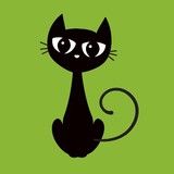 Black Cat Photos - Commercial Photography in San Francisco