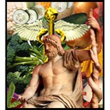 Organic Best Choices - Alternative Medicine in San Diego