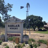 Roblar Winery - Wineries in Santa Ynez