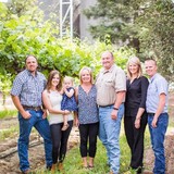 Mc Manis Family Vineyards - Other in Ripon