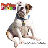 Pawprints in Home Pet Sitting - Pet Stores in San Diego