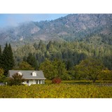 Justin Vineyards & Winery LLC - Wineries in Paso Robles