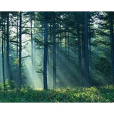 Sherer Lori - Marriage Counselling & Family Counselling in San Diego