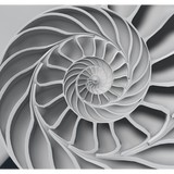 PsychoTherapy San Francisco Noe Valley - Psychologist & Counsellor in San Francisco