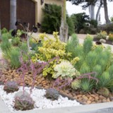 Ecodesignsd - Landscape Architects in San Diego