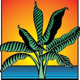 John Ramos Gallery - Other in Morro Bay
