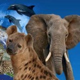 Little Blue Society - Legal Services in Redwood City