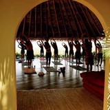 YogaTropics - Yoga in San Diego