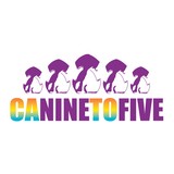 Canine To Five - Pet Services in San Diego