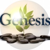 Genesis Ibogaine Center - Other in San Ysidro