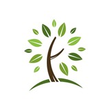 Torres Landscaping Inc - Landscaping in Redwood City