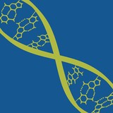 Genentech Inc - Other in South San Francisco