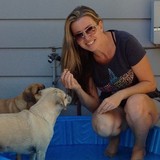 Fur Love Of Your Pet - Pet Stores in San Diego