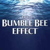 Bee Bumble Holdings Inc - Food & Related Products in San Diego
