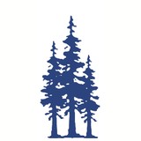 Woodland School - Other in Portola Valley