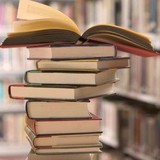 Young Adult Novel Reader - Other in Solana Beach