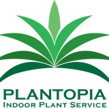 Plantopia - Indoor Landscaping in San Diego
