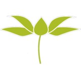 Kastner Acupuncture Group - Acupuncture in San Diego