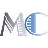 Mayachitra Inc - Business Consulting in Santa Barbara