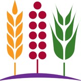 Bay State Milling - Food & Related Products in San Francisco