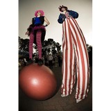 Fern Street Community Arts Inc - Circuses, Fairs & Carnivals in San Diego