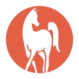 Arabian Horse World Magazine - Other in Templeton