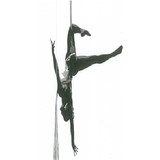 Aerial Revolution - Yoga in San Diego