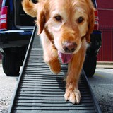 Petstep Inc - Other in South San Francisco