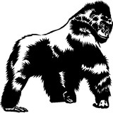 Silverback Hauling - Other in Coronado